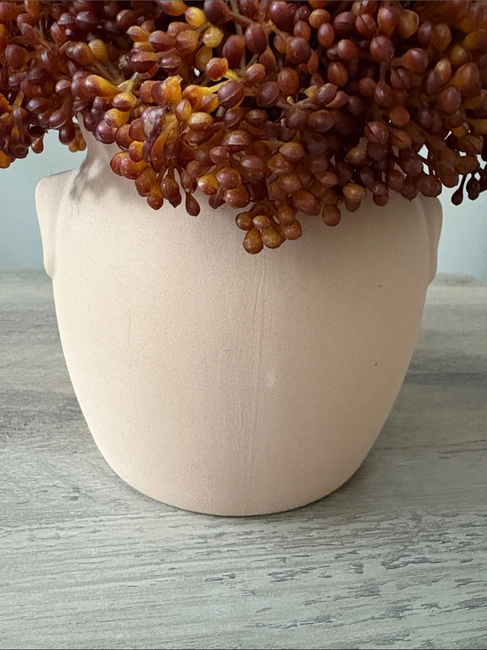 Threshold Red Sedum Arrangement - Set of 2